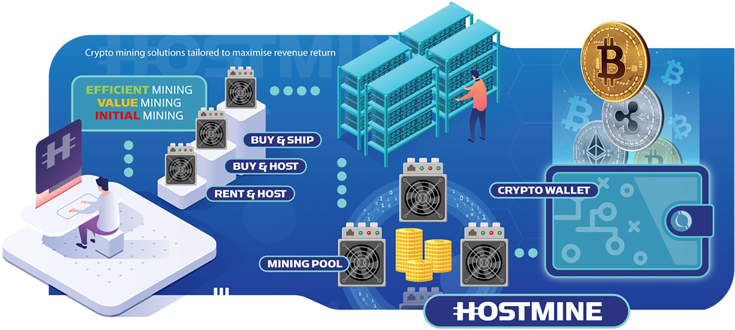 hostmine_infographic2 Hostmine 6